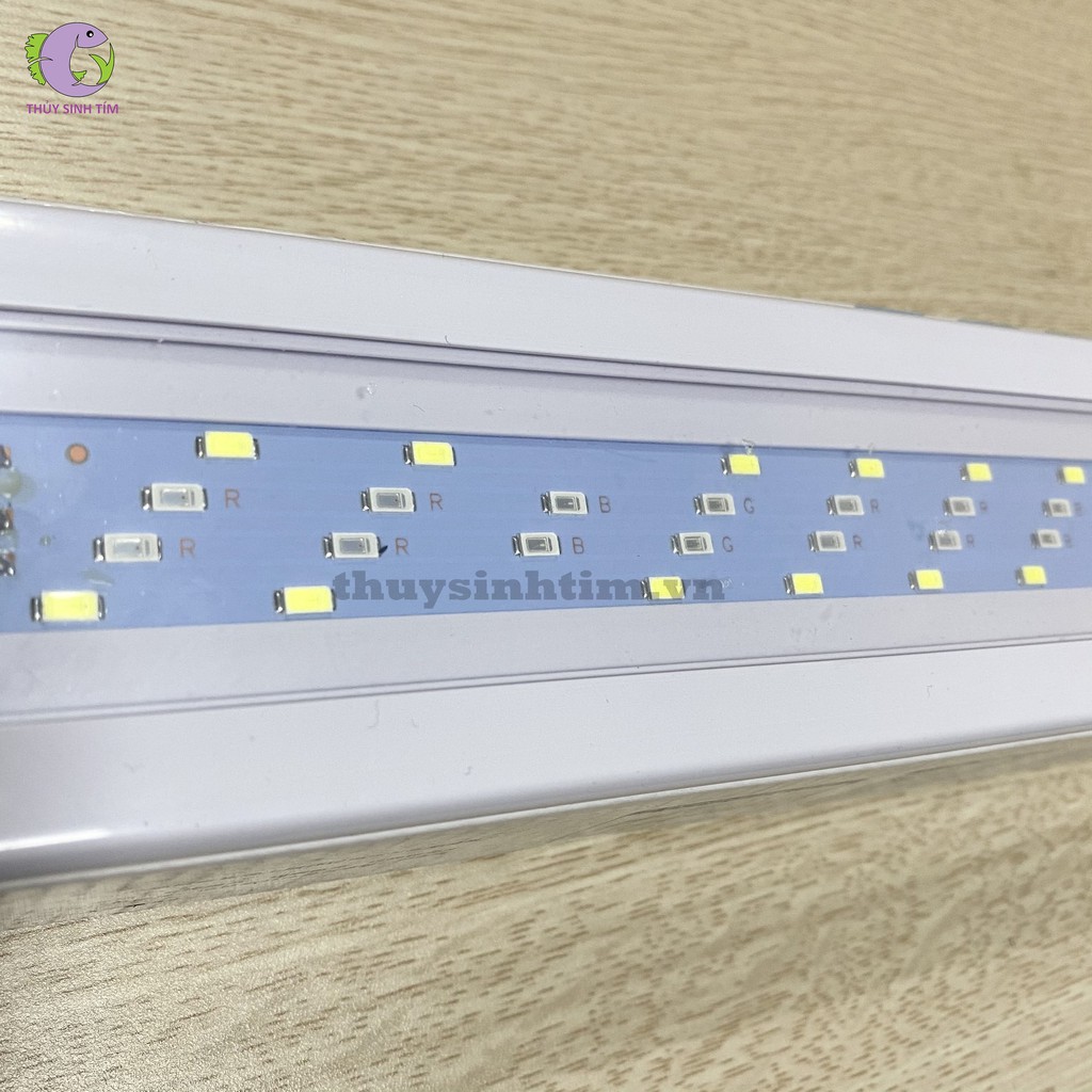 Đèn LED Roxin WRGB Series GX-A (3 Chế Độ Màu)