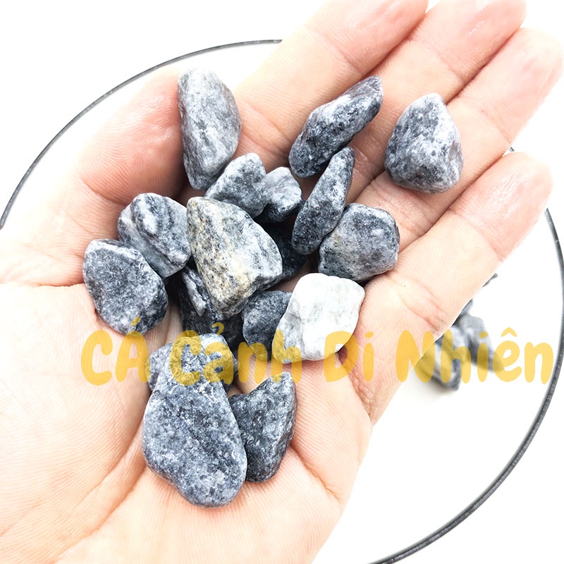Bịch sỏi ĐEN ĐẠI 1 KG size 2 - 3 CM trang trí hồ cá cảnh