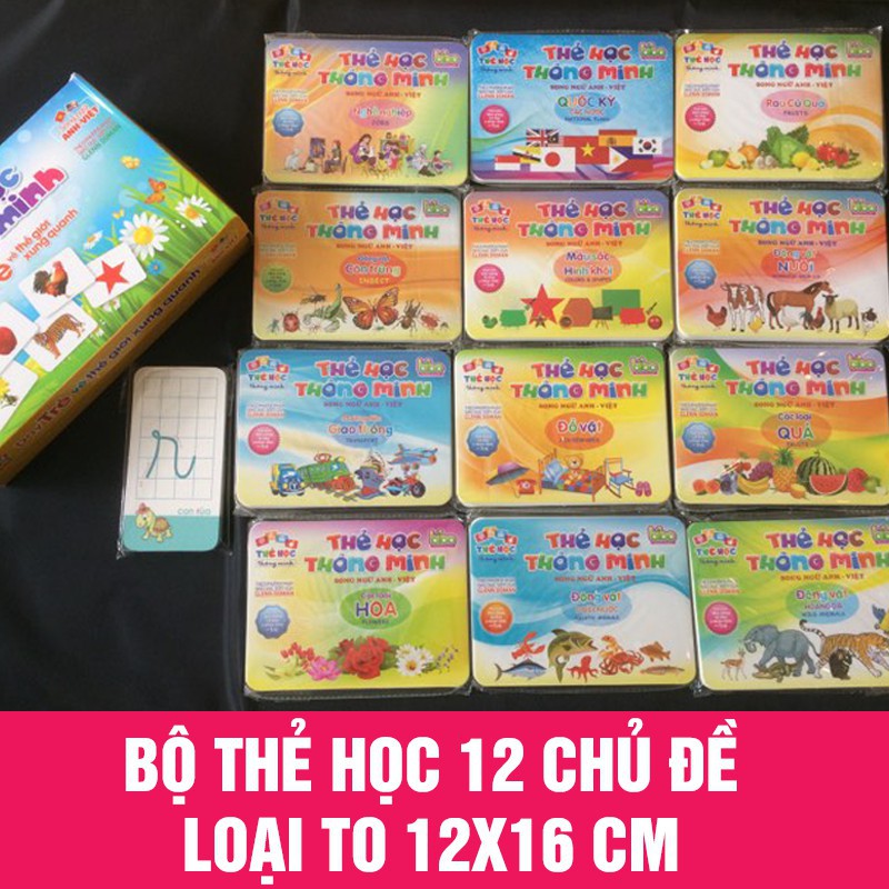 [ Bán buôn/Sỉ] Bộ thẻ học 12 chủ đề loại to cho bé tặng kèm bộ chữ cái và số (270 thẻ)