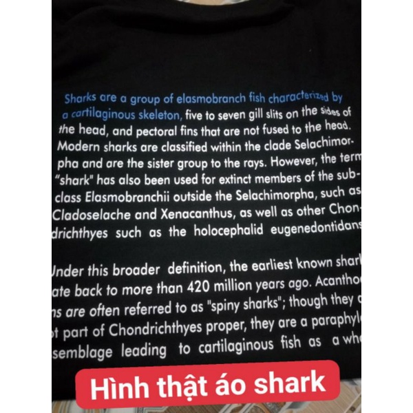 Áo phông SADBO siêu phẩm SHARK đã có mặt from unisex Nam,Nử
