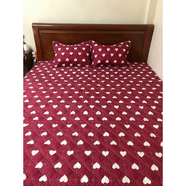 Ga trần bông , drap trần bông bo chun chắc chắn dày dặn không xô lệch