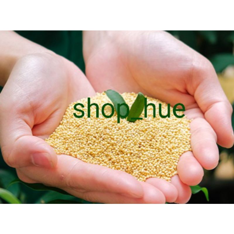 Hạt kê vàng sạch 1kg