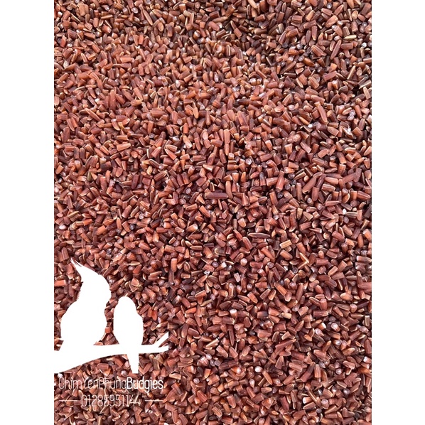 1kg gạo đỏ bể (tấm bể)