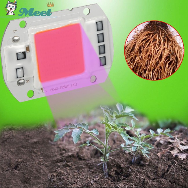 110V/220V 20W/30W/50W Full Spectrum LED Lamp Light Chip COB Plant Growing Grow