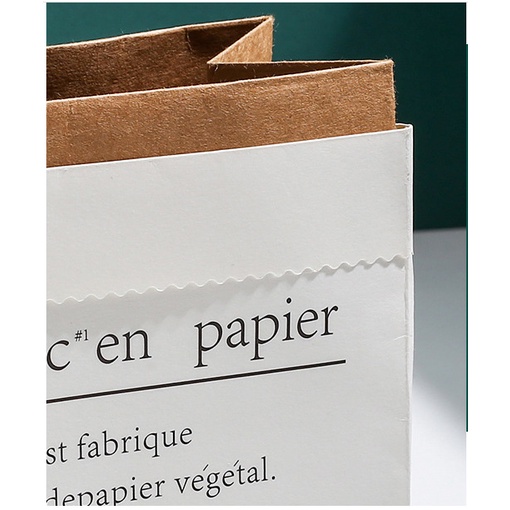 TÚI GIẤY 2 LỚP KRAFT Le sac en papier , Phụ kiện decor, chụp ảnh đẹp
