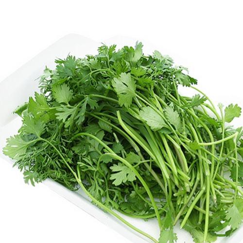 20G - Hạt Giống Ngò Rí Bạc Liêu