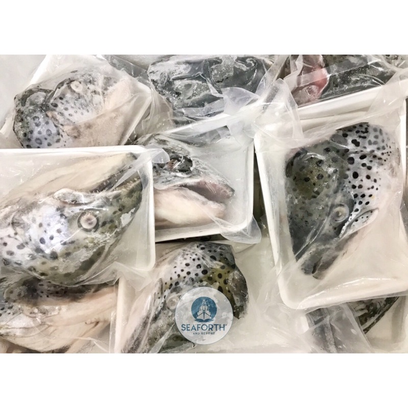 Đầu cá hồi Na Uy v-cut / Salmon head