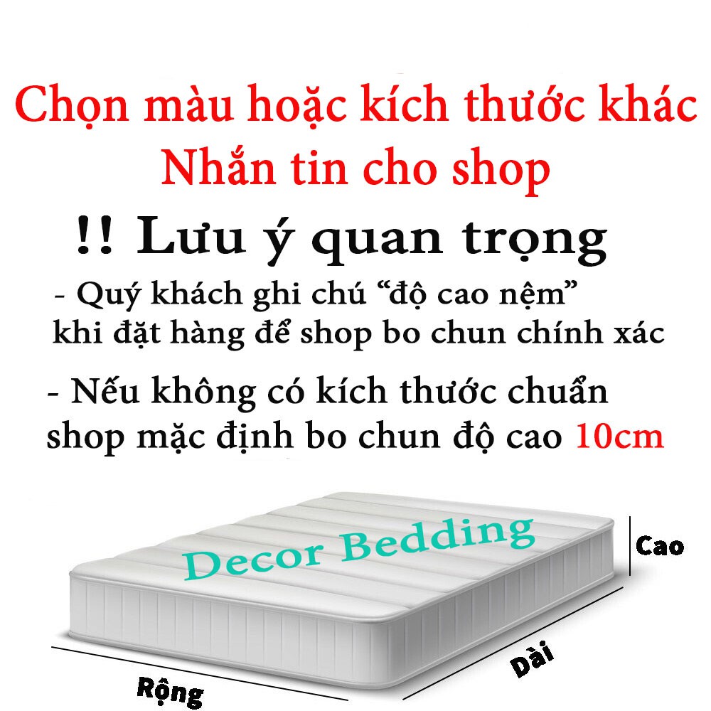 Bộ chăn ga Cotton poly chăn ga nhập khẩu họa tiết kẻ đủ size miễn phí bo chun - Gấu Decor | BigBuy360 - bigbuy360.vn