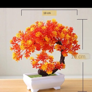 Hoa giả cây tài lộc cây xanh cây nhựa chậu cây cảnh trang trí phòng khách hoa khô hoa giả trang trí tủ rượu