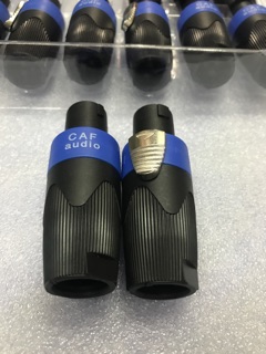 Một Cặp Jack Loa