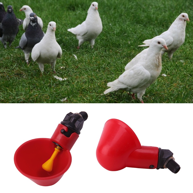 Cốc Uống Nước Tự Động 3 Inch Cho Gà Vịt Vịt Thỏ