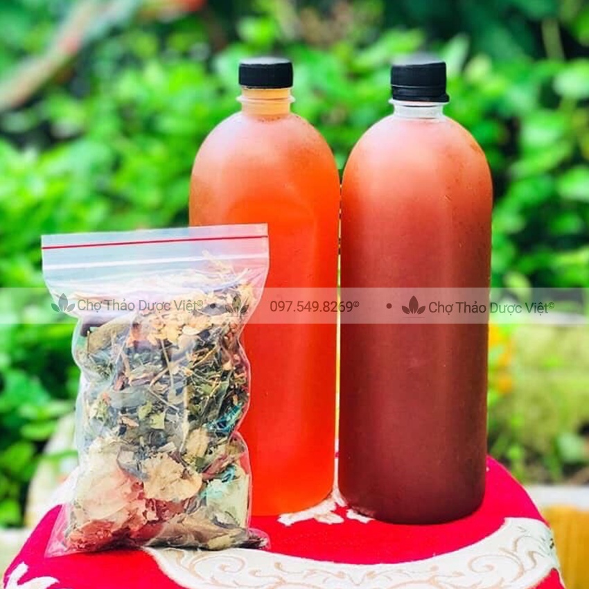 Lá nam giảm cân  - Chợ Thảo Dược Việt