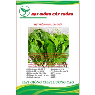 Hạt giống rau cải trời ct523 - gói 100 hạt