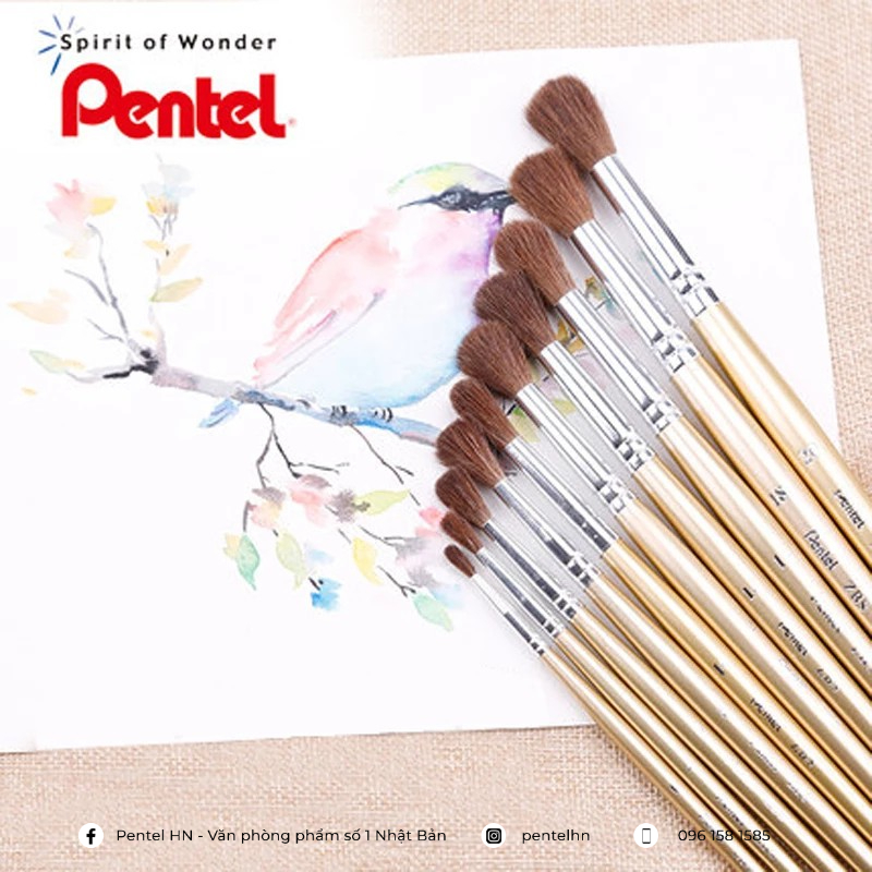 Cọ vẽ Pentel ZBS1 Làm Từ Lông Đuôi Ngựa | Cọ Đầu Tròn Các Số 0/ 2/ 4/ 6/ 8/ 10/ 12/ 15/ 16/ 18/ 20