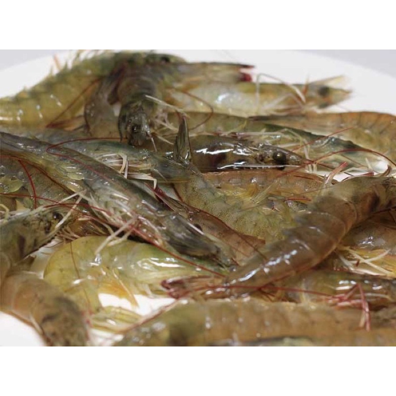Tôm thẻ đầm(~60-70c/kg) - 0.5kg/phần