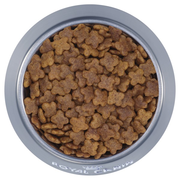 8kg,ROYAL CANIN MINI ADULT Dành cho chó kích cỡ Mini (cân nặng dưới 10kg) và đang trong lứa tuổi Adult từ 10 tháng