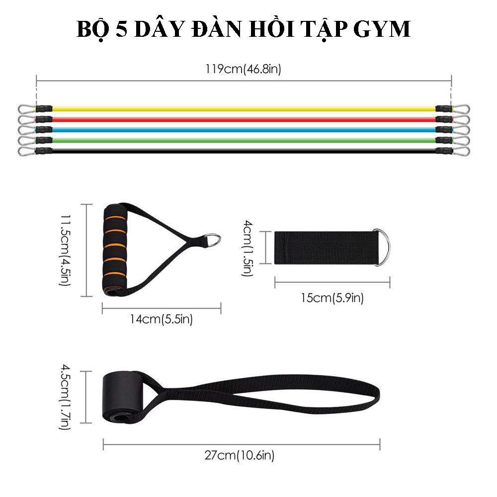 Bộ 5 dây tập GYM thể hình hiện đại đa năng dây ngũ sắc