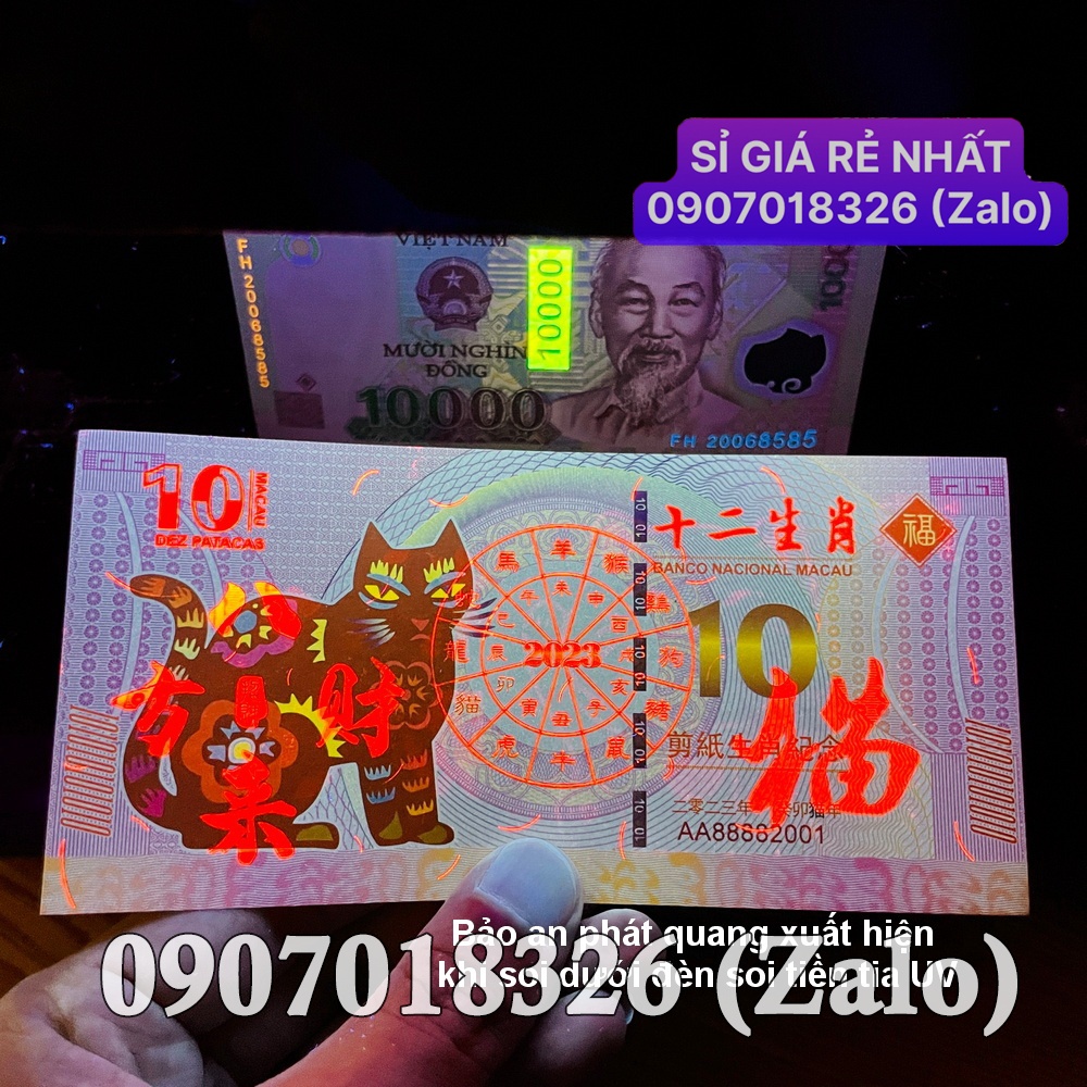 Combo 10 Tờ Seri đẹp có tờ FULL 8, Tiền 10 Đô La của Macao in hình con Mèo tặng Tết Mão, tặng bao lì xì