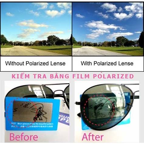 Miếng test kính phân cực - test polarized giá sỉ​, giá bán buôn