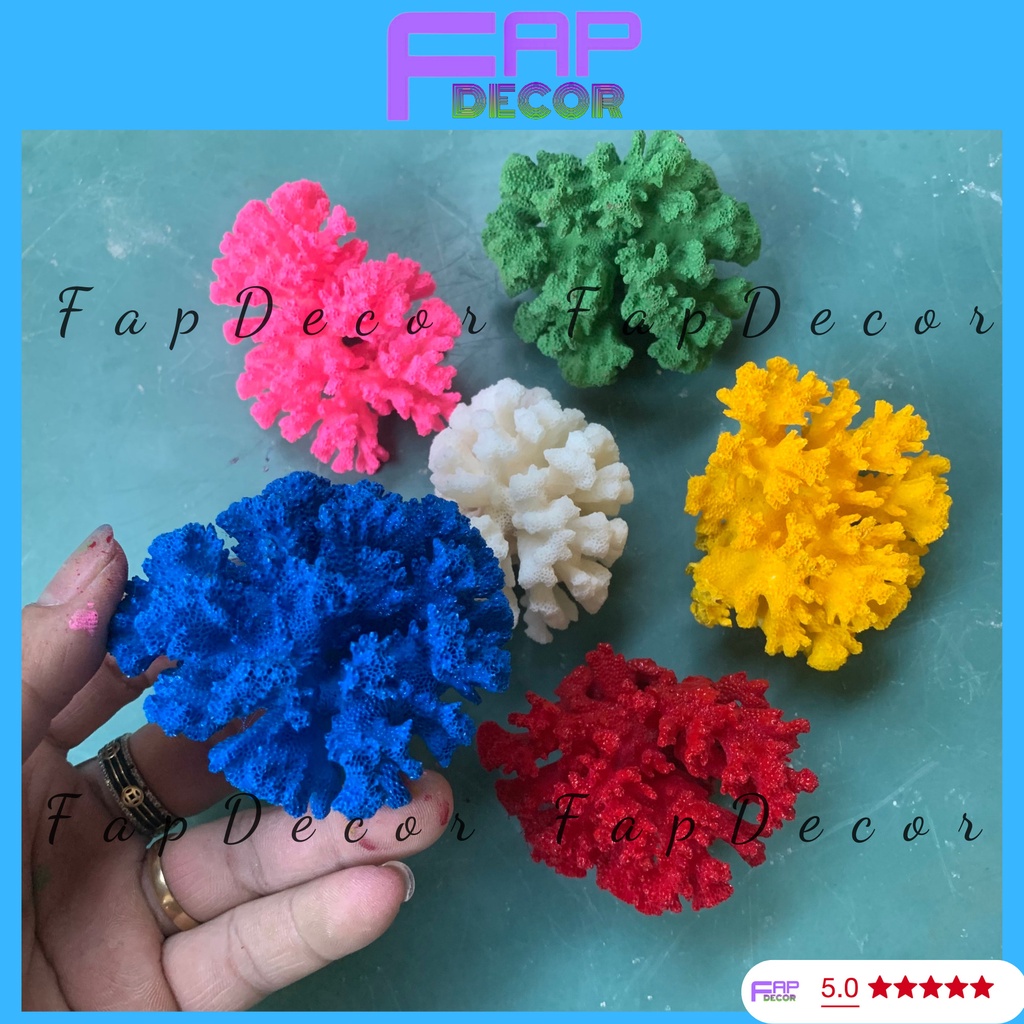 SAN HÔ BÔNG RẠN BIỂN PHONG THỦY MINI PHỐI MÀU SIÊU ĐẸP TRANG TRÍ THỦY SINH BỂ CÁ DECOR BÀN LÀM VIỆC - FAPDECOR