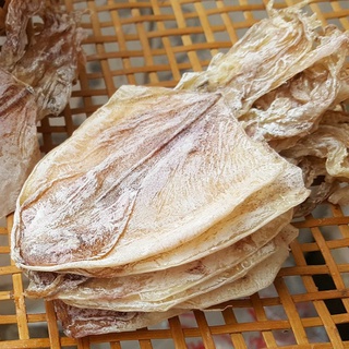 Mực khô câu đại dương loại 100 con