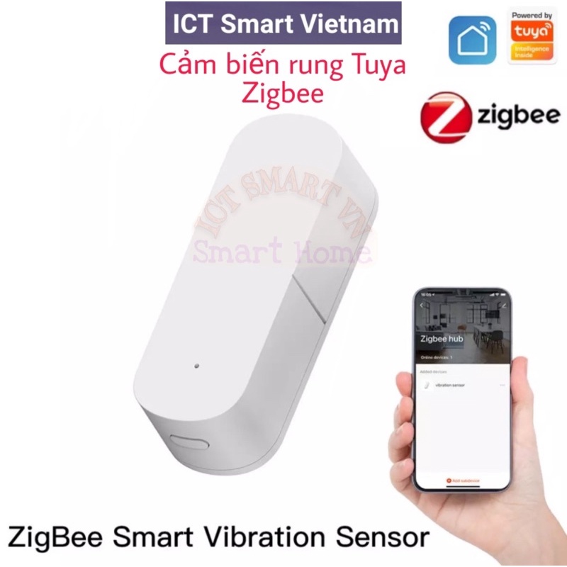 Cảm biến rung Tuya Zigbee