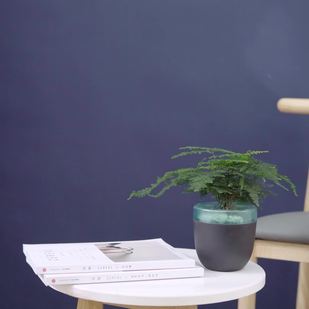 YIYU Vật Liệu PP Màu Trắng Trang Trí Nhà Cửa Với Thùng Nước Tự Động Hấp Thụ Nước Ngoài Trời / Trong Nhà