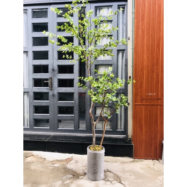 Cây giả trang trí - Nhánh cây thạch nam 1,2m