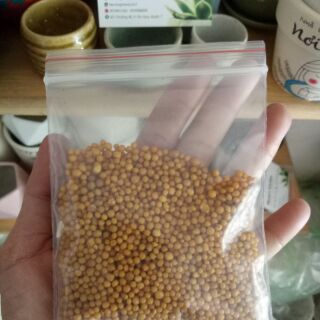 Phân Tan Chậm Thái Lan Túi 50gr-100gr