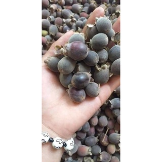 1kg sim rừng khô ngâm rượu