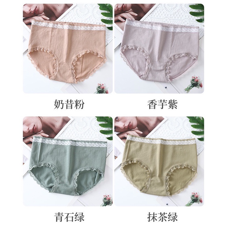 Quần Lót Nữ - Quần lót Nữ cotton dệt kim kháng khuẩn thiết kế phối cạp chấm bi DAN STORE MÃ 3800