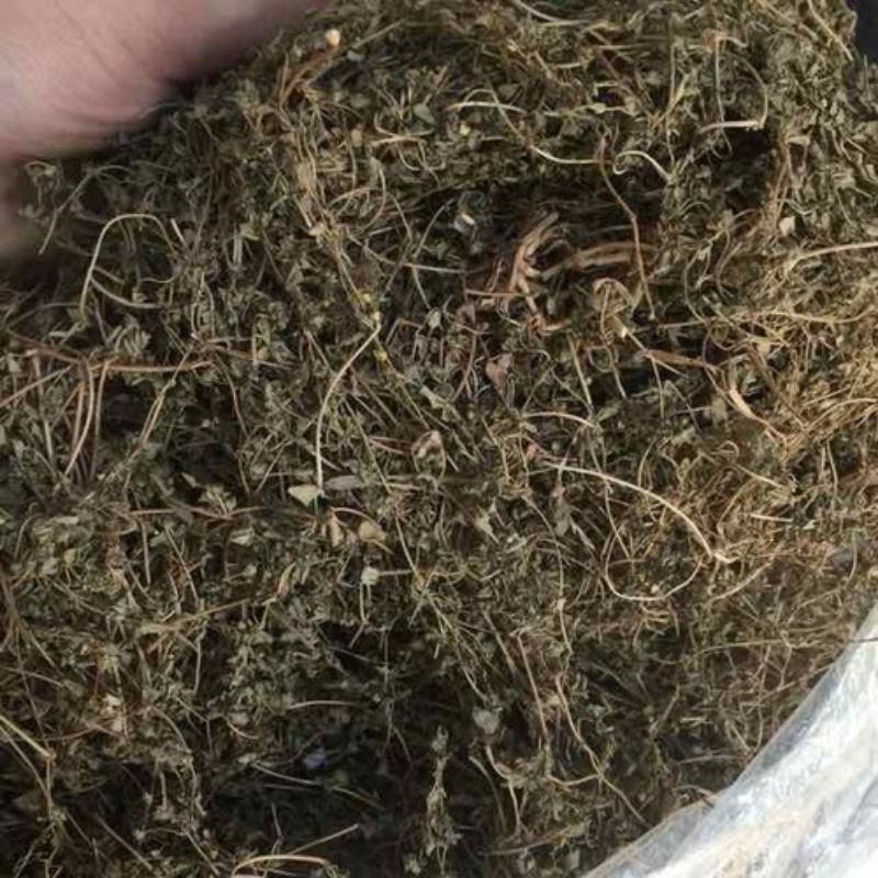 1KG Cây Rau Dệu Khô