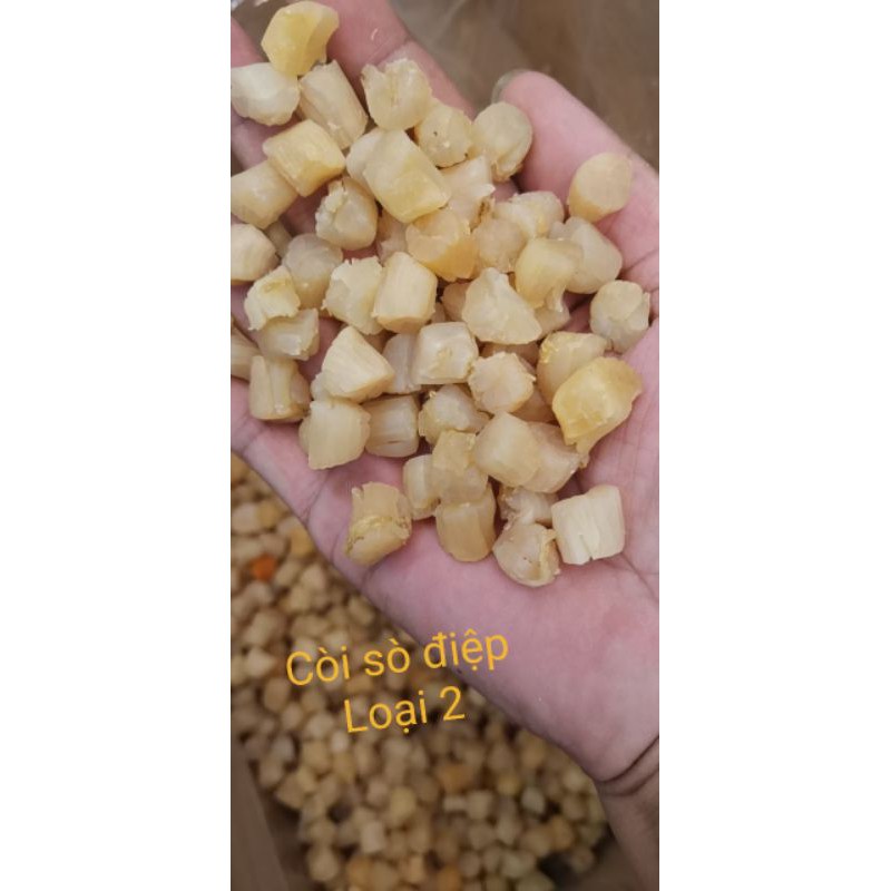 Cồi sò điệp khô