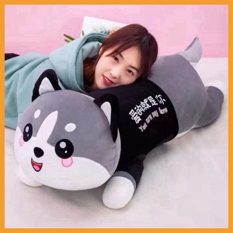 Gấu bông giá rẻ husky ôm ngủ mèo cute đồ chơi đáng yêu cho bé size 50cm 60cm 90cm