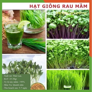 Hạt mầm rau củ các loại (1 gói 20gr Mầm rau cải ngọt 1 gói 25gr Mầm rau củ cải trắng, 1 gói 30gr Mầm rau muống)