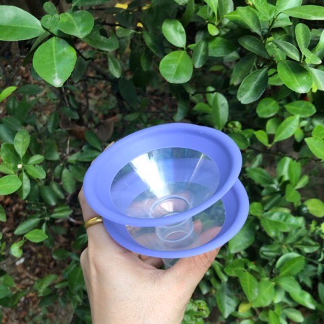 Phễu hút sữa lansinoh