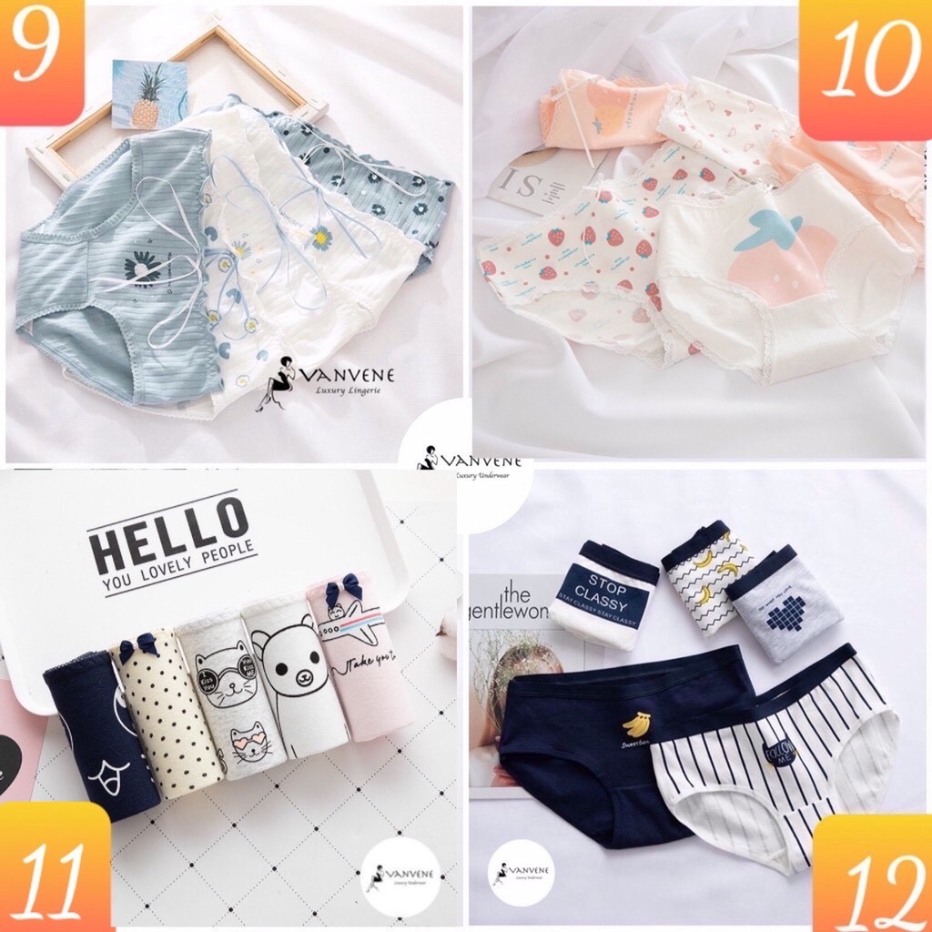 COMBO 5 QUẦN LÓT COTTON EVABRA COMBO 5 QUẦN CHIP NỮ NHIỀU LOẠI CẠP VỪA CẠP VỪA CHỐNG HẰN LỘ VIỀN CO GIÃN NHIỀU Q230 | BigBuy360 - bigbuy360.vn