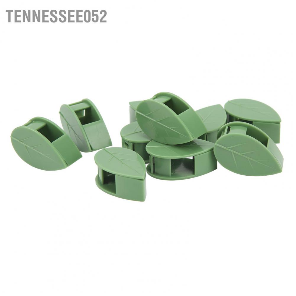 Tennessee052 100PCS Thực vật Leo tường Cố định Kẹp Tường Dây leo Clip Tự dính Móc treo Lực kéo