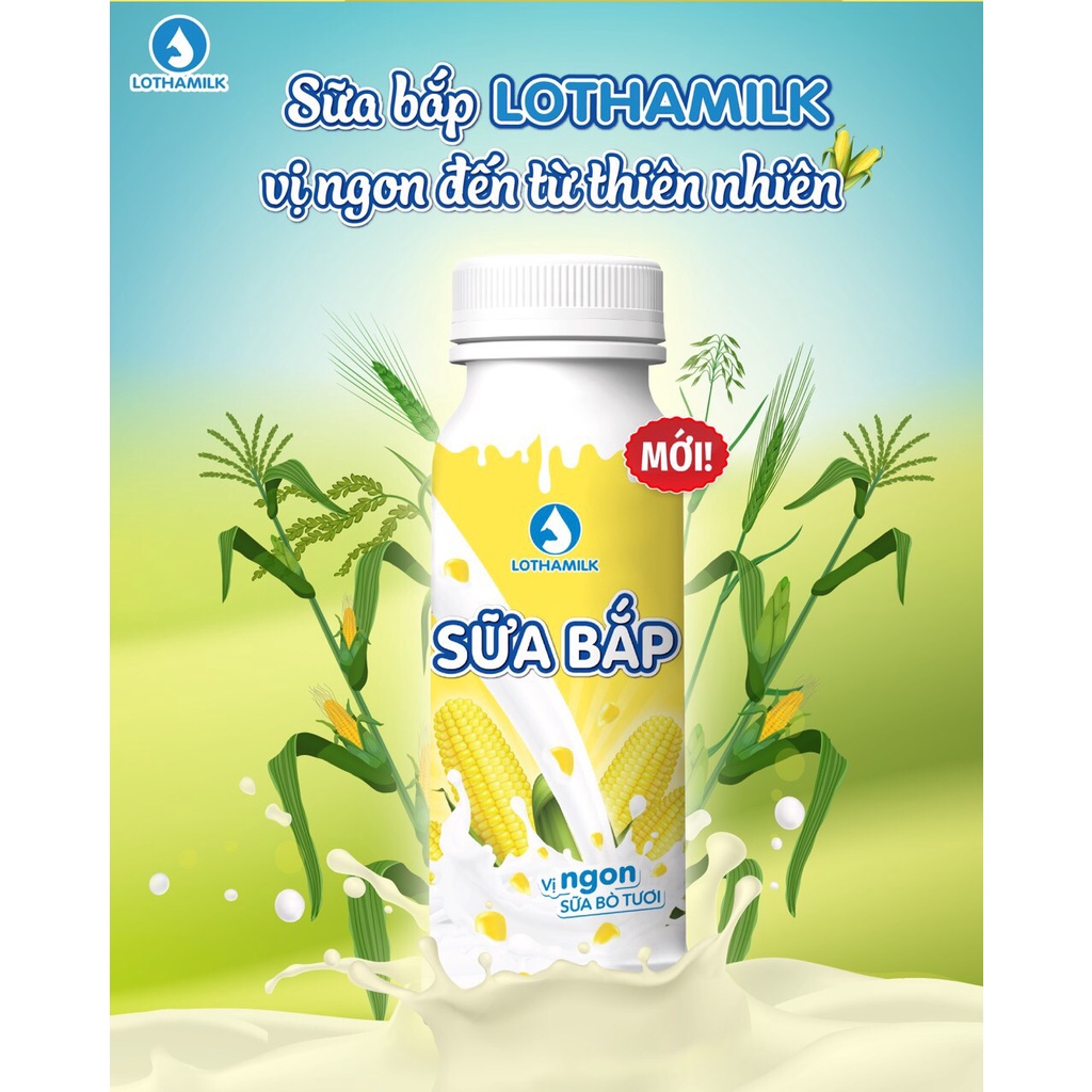 Sữa bắp Lothamilk 250ml