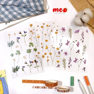Sticker hoa khô đơn