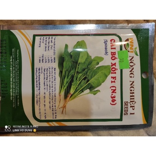 Hạt giống cải bó xôi