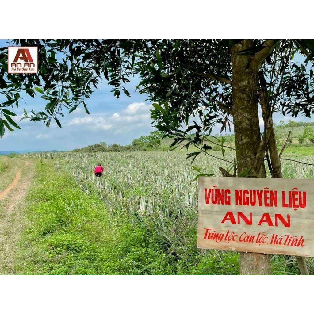 Nước Lau Sàn Sả Chanh Đậm Đặc Quế Bồ Hòn An An Hữu Cơ, Nước Lau Sàn Gỗ Sàn Nhà An Toàn Cho Da và Trẻ Nhỏ - 1 Lít