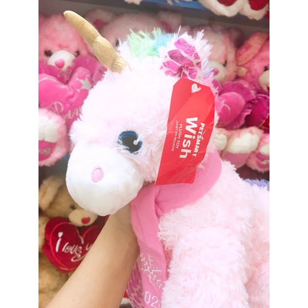 Ngựa pony 2020