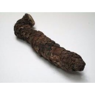500g Nhục Thung Dung Đen