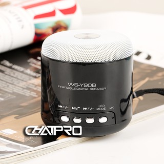 Loa Bluetooth WS Y90B