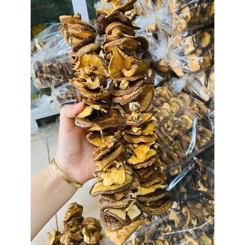 nấm hương rừng