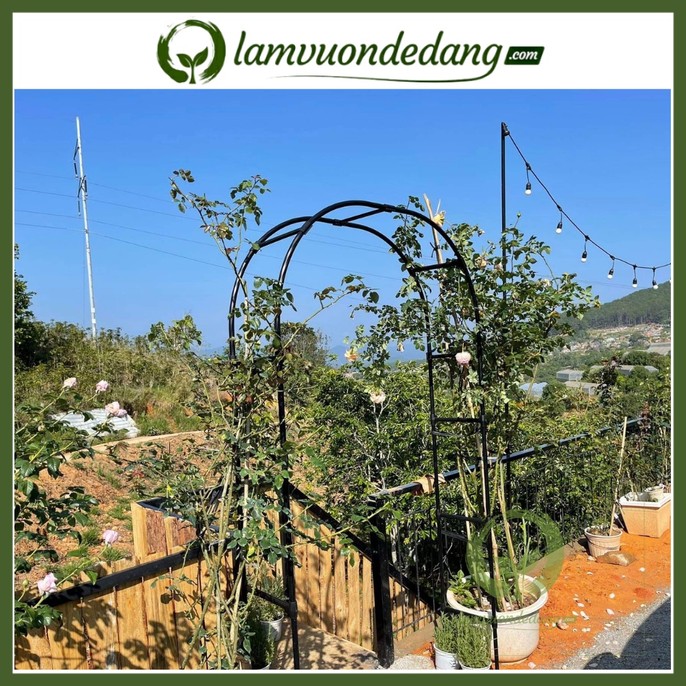 KHUNG CỔNG VÒM HOA HỒNG -  DÙNG ĐỂ ĐỠ CÂY CHO HOA HỒNG LEO, CÂY LEO THÀNH CỔNG VÒM