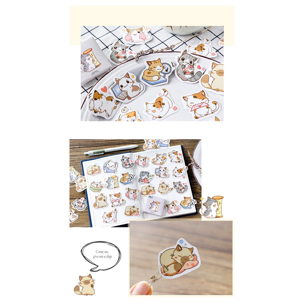 Sticker chủ đề Mèo Mập - Hộp 45 miếng dán trang trí sổ tay Bullet Journal - M057