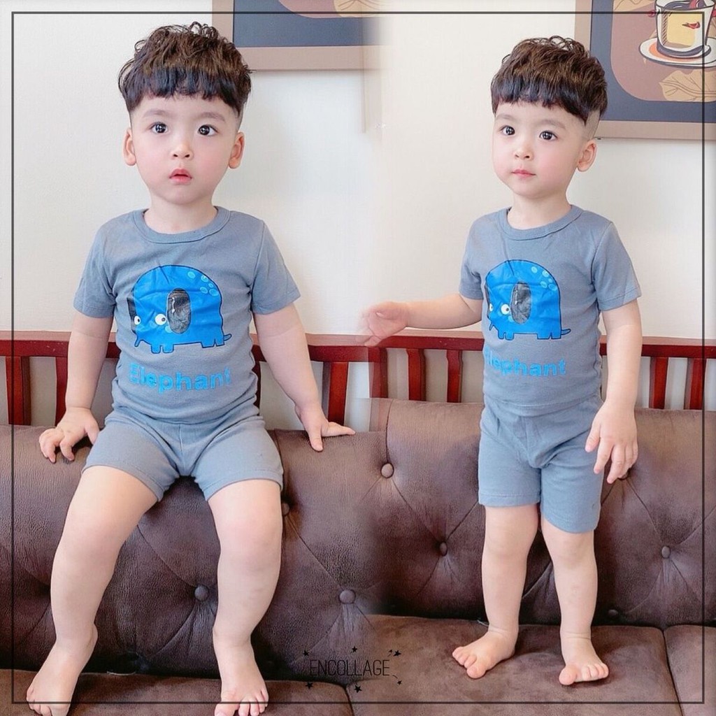 [DEAL HOT] Bộ cotton bozip in hình dễ thương BT BG