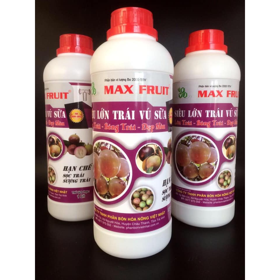 Phân bón MAX FRUIT-LỚN TRÁI VÚ SỮA Chai 1L - giúp trái to tròn, căng bóng, ngon ngọt
